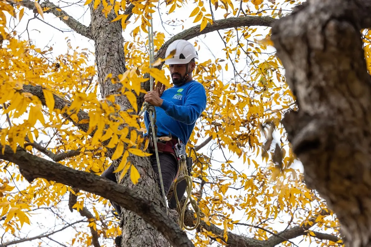 Skilled Storm Damage Cleanup crew working in Naknek
